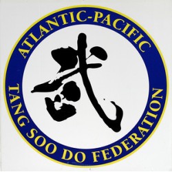 (S) Studio Flag (APTSDF)